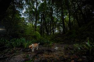 BIB: 
                            <button type="button" onclick="openModal(19237849)" class="btn btn-primary btn-sm float-right btn-popup" data-toggle="modal" data-target=".modal-high-quality">
                        <i class="fas fa-shopping-cart"></i> Add to Cart
                    </button>
                                            <button type="button" onclick="isThisMe(19237849, true)" class="btn btn-success btn-sm float-right btn-popup btn-isme hidden" data-toggle="tooltip" data-placement="bottom" title="นี่คือรูปของคุณใช่ไหม คลิกที่นี่เพื่อเอาเข้าอัลบั้ม">
                        <i class="fas fa-plus"></i> Add to album
                    </button>
                    <button type="button" onclick="isThisMe(19237849, false)" class="btn btn-warning btn-sm float-right btn-popup btn-isnotme hidden">
                        <i class="fas fa-ban"></i> Remove from album
                    </button>